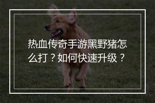 热血传奇手游黑野猪怎么打？如何快速升级？