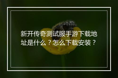 新开传奇测试服手游下载地址是什么？怎么下载安装？