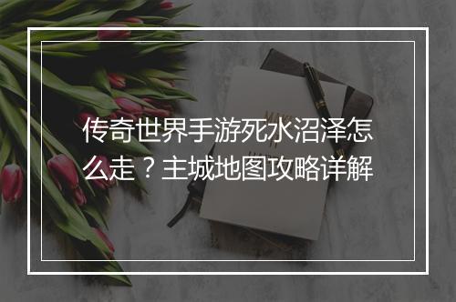 传奇世界手游死水沼泽怎么走？主城地图攻略详解