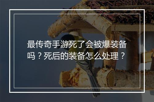 最传奇手游死了会被爆装备吗？死后的装备怎么处理？