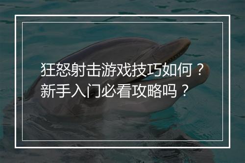 狂怒射击游戏技巧如何？新手入门必看攻略吗？