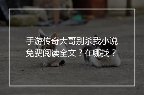 手游传奇大哥别杀我小说免费阅读全文？在哪找？