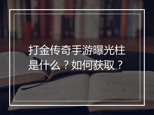 打金传奇手游曝光柱是什么？如何获取？