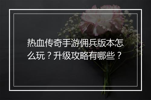 热血传奇手游佣兵版本怎么玩？升级攻略有哪些？
