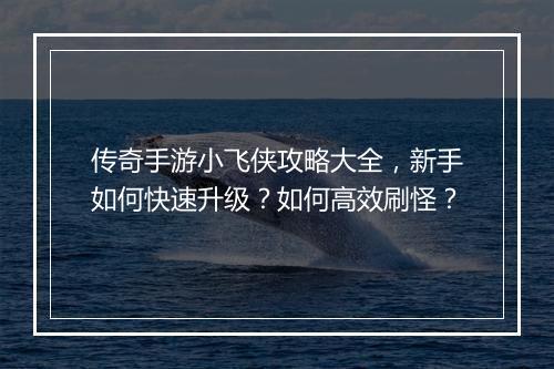 传奇手游小飞侠攻略大全，新手如何快速升级？如何高效刷怪？