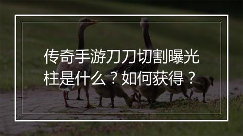 传奇手游刀刀切割曝光柱是什么？如何获得？