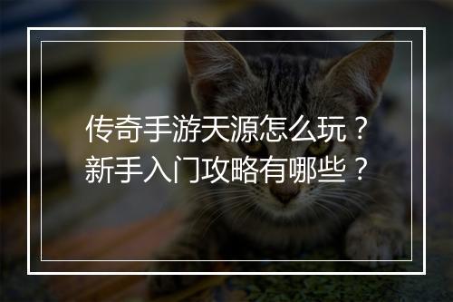 传奇手游天源怎么玩？新手入门攻略有哪些？