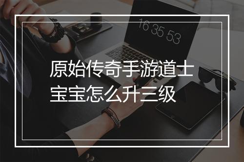 原始传奇手游道士宝宝怎么升三级