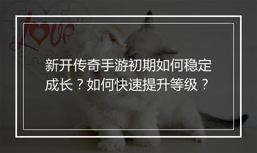 新开传奇手游初期如何稳定成长？如何快速提升等级？