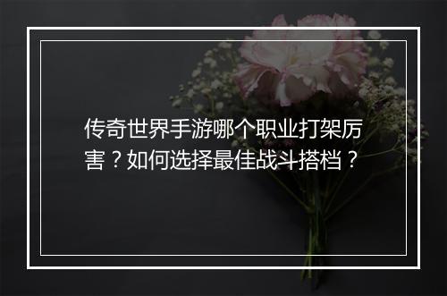 传奇世界手游哪个职业打架厉害？如何选择最佳战斗搭档？