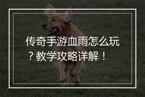 传奇手游血雨怎么玩？教学攻略详解！
