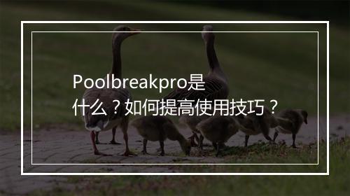 Poolbreakpro是什么？如何提高使用技巧？