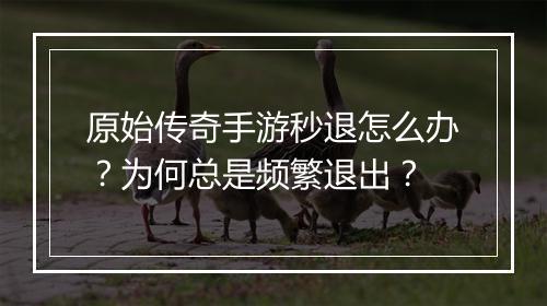 原始传奇手游秒退怎么办？为何总是频繁退出？