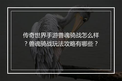 传奇世界手游兽魂骑战怎么样？兽魂骑战玩法攻略有哪些？