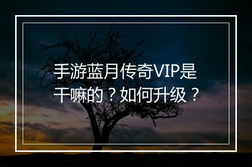 手游蓝月传奇VIP是干嘛的？如何升级？