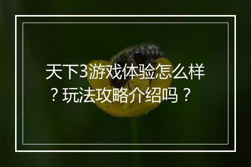 天下3游戏体验怎么样？玩法攻略介绍吗？