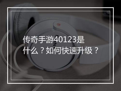 传奇手游40123是什么？如何快速升级？
