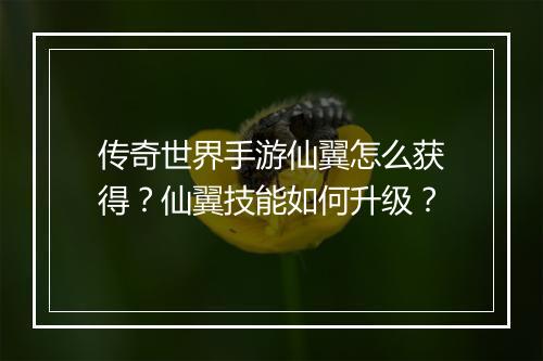 传奇世界手游仙翼怎么获得？仙翼技能如何升级？