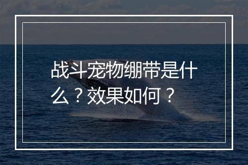 战斗宠物绷带是什么？效果如何？