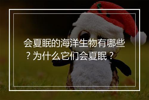 会夏眠的海洋生物有哪些？为什么它们会夏眠？