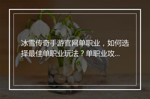 冰雪传奇手游官网单职业，如何选择最佳单职业玩法？单职业攻略分享！