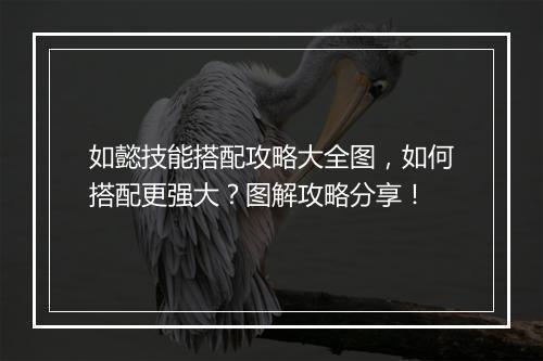 如懿技能搭配攻略大全图，如何搭配更强大？图解攻略分享！