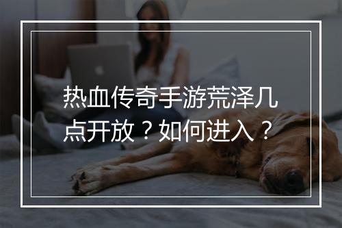 热血传奇手游荒泽几点开放？如何进入？