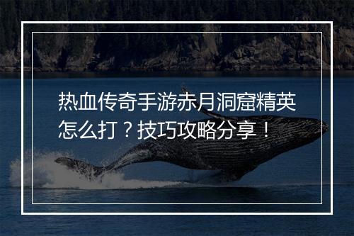 热血传奇手游赤月洞窟精英怎么打？技巧攻略分享！