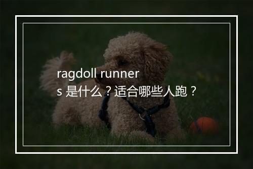 ragdoll runners 是什么？适合哪些人跑？