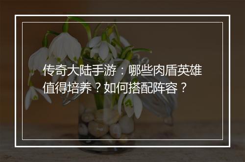 传奇大陆手游：哪些肉盾英雄值得培养？如何搭配阵容？