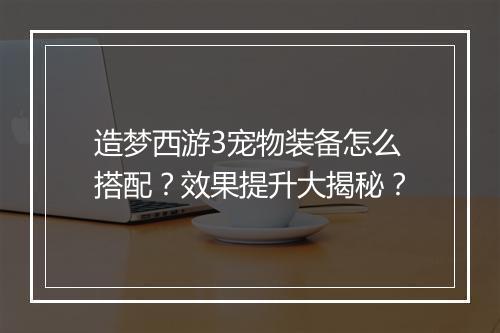 造梦西游3宠物装备怎么搭配？效果提升大揭秘？