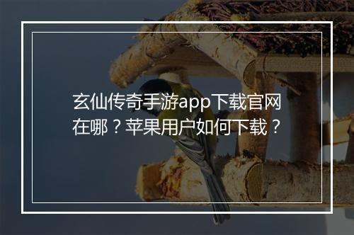 玄仙传奇手游app下载官网在哪？苹果用户如何下载？