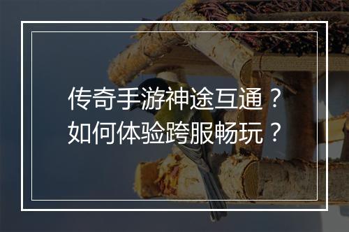 传奇手游神途互通？如何体验跨服畅玩？