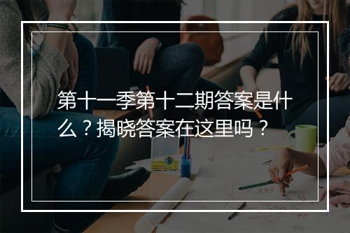 第十一季第十二期答案是什么？揭晓答案在这里吗？