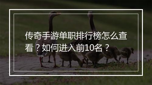 传奇手游单职排行榜怎么查看？如何进入前10名？