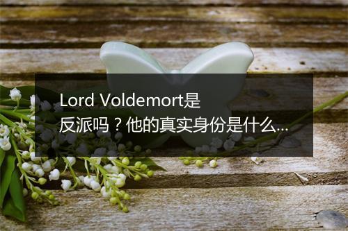Lord Voldemort是反派吗？他的真实身份是什么？