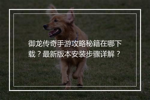 御龙传奇手游攻略秘籍在哪下载？最新版本安装步骤详解？