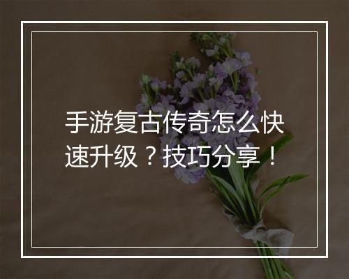 手游复古传奇怎么快速升级？技巧分享！