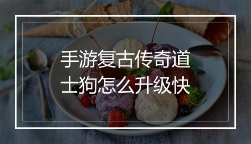 手游复古传奇道士狗怎么升级快