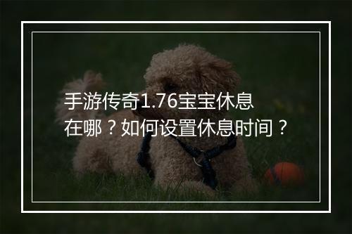 手游传奇1.76宝宝休息在哪？如何设置休息时间？
