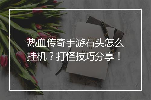 热血传奇手游石头怎么挂机？打怪技巧分享！