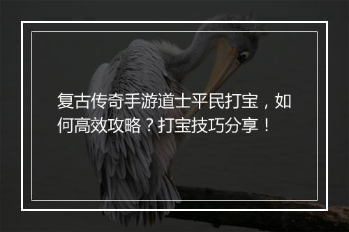 复古传奇手游道士平民打宝，如何高效攻略？打宝技巧分享！