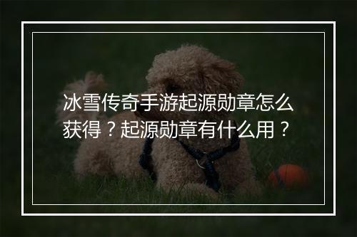 冰雪传奇手游起源勋章怎么获得？起源勋章有什么用？