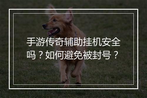 手游传奇辅助挂机安全吗？如何避免被封号？