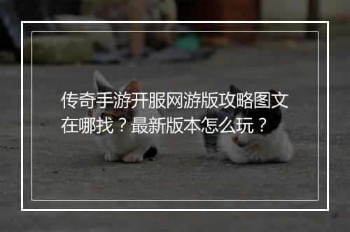 传奇手游开服网游版攻略图文在哪找？最新版本怎么玩？