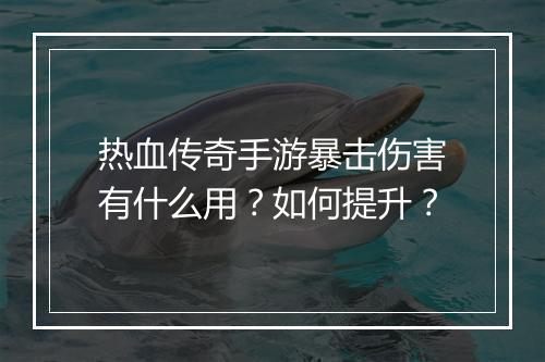 热血传奇手游暴击伤害有什么用？如何提升？