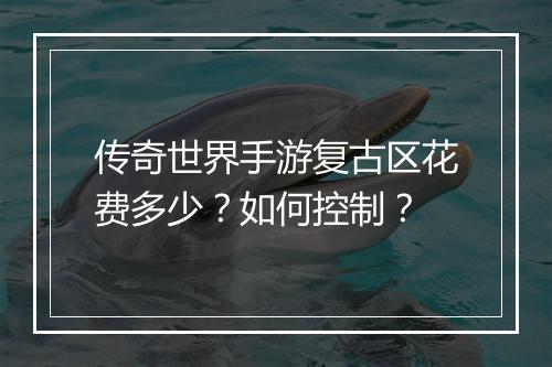 传奇世界手游复古区花费多少？如何控制？