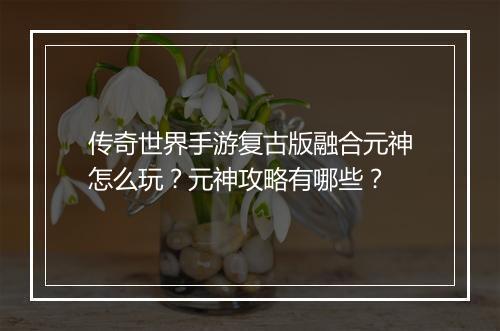 传奇世界手游复古版融合元神怎么玩？元神攻略有哪些？