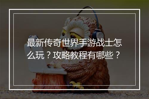 最新传奇世界手游战士怎么玩？攻略教程有哪些？
