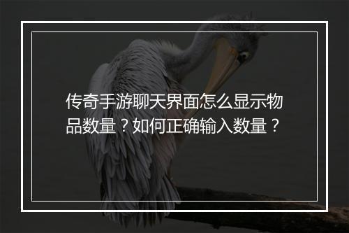 传奇手游聊天界面怎么显示物品数量？如何正确输入数量？
